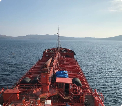 Ежегодные проверки