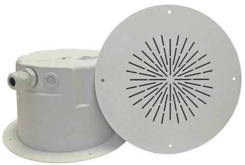 Потолочный громкоговоритель DNH BF-620