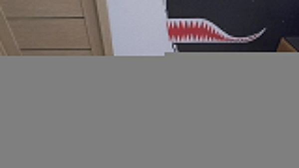 consilium aerial 2m s.n. 576632 б.у. на проверку