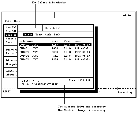 Текстовый редактор Capsat